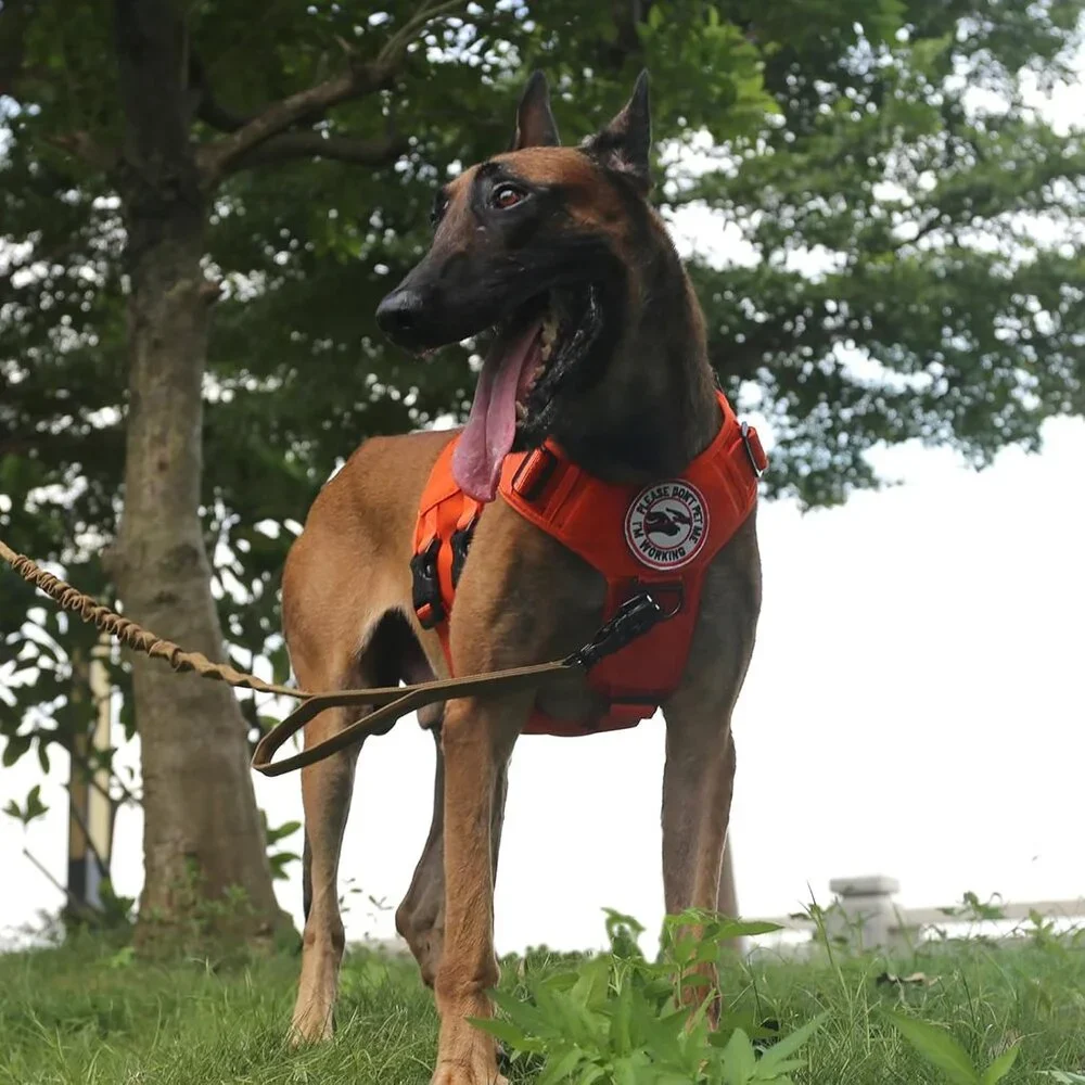 NWT - ICEFANG GN3 Tactical Dog Harness with 6X Buckle, Do Molle Vest with Handle